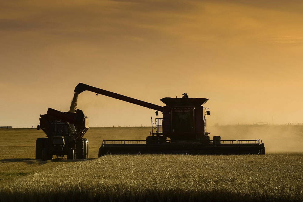 Agriculture and Investing: Why Agricultural Commodities Are Returning to the Centre of Portfolios